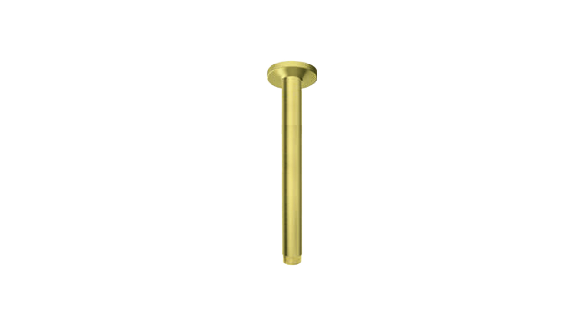 Konzola uzidnog tuša za plafon 300mm - S.2 GOLD — detalj